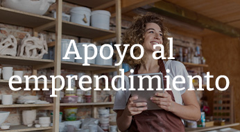Apoyo al Emprendimiento